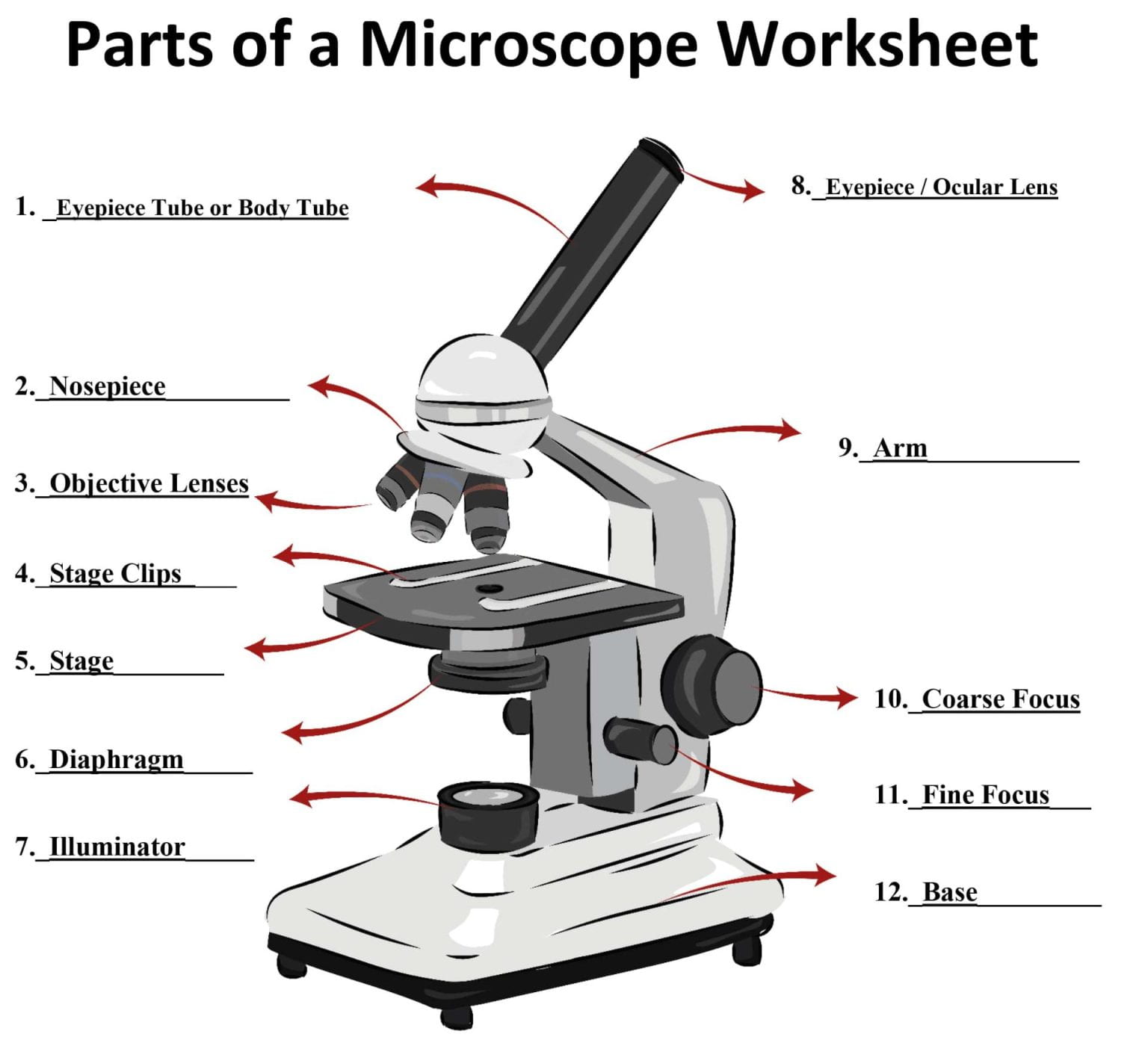 Microscopes Kate Hornby High